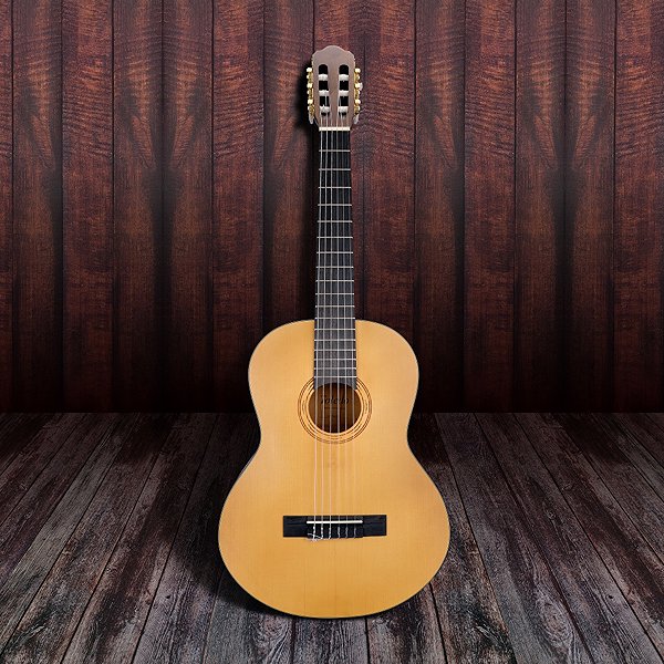 Classical Guitar SOUNDSATION CST34-NTS ...