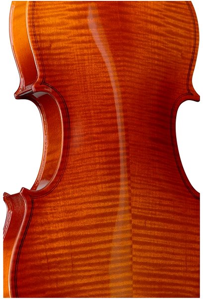 Geige Stagg VN-4/4 L, mit Etui ...