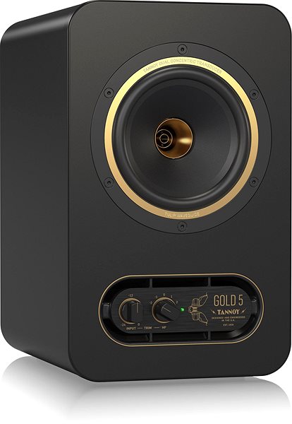 Speaker TANNOY GOLD 5 Lateral view