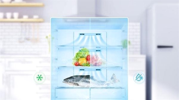 American Refrigerator TCL RP503SSF0 Features/technology