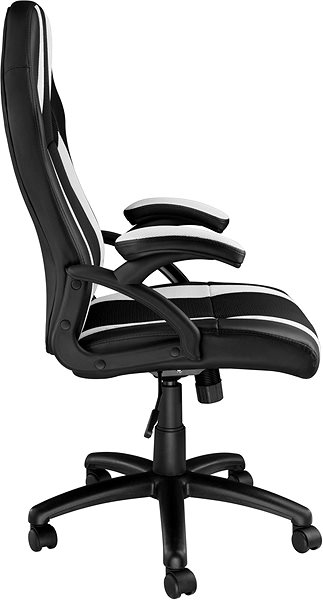 Office Armchair Tectake Goodman, black/white ...
