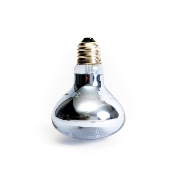 ReptiEye Terrarium Light 75W Daylight Neodymium bulb .