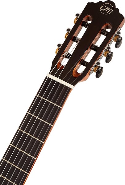 Classical Guitar TANGLEWOOD EM DC 5 Features/technology