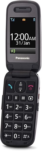 Mobile Phone Panasonic KX-TU446EXG Grey Screen