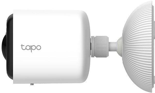 Überwachungskamera TP-Link Tapo TC80 ...