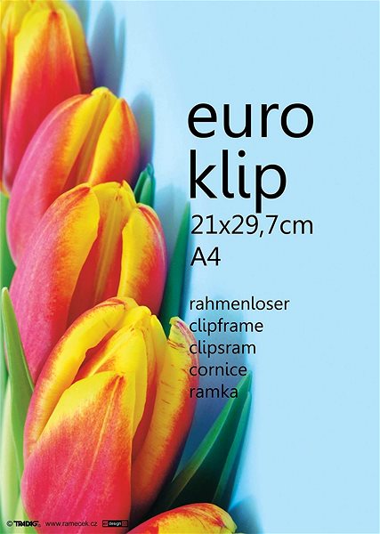 Photo Frame Tradag Euroclip 21 x 29.7cm Features/technology