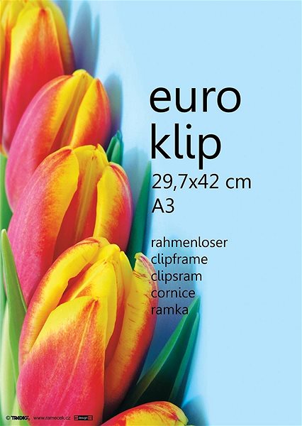 Photo Frame Tradag Euroclip 24 × 30 cm Features/technology