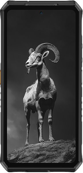 Mobile Phone UleFone Armor 28 Pro 16GB/512GB Black ...
