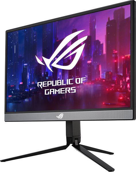 LCD Monitor 17,3