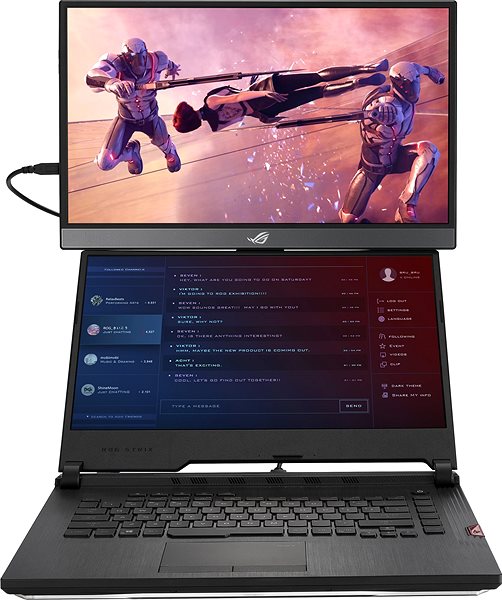 LCD Monitor 17,3
