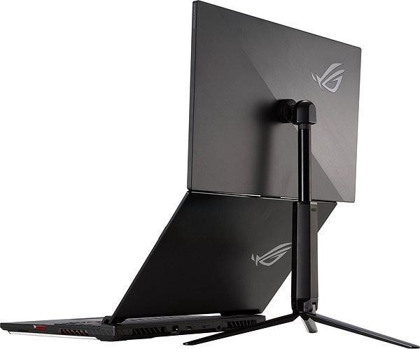 LCD Monitor 17,3