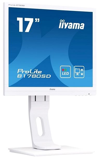 LCD Monitor 17
