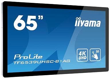 Large-Format Display 65