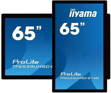 Large-Format Display 65