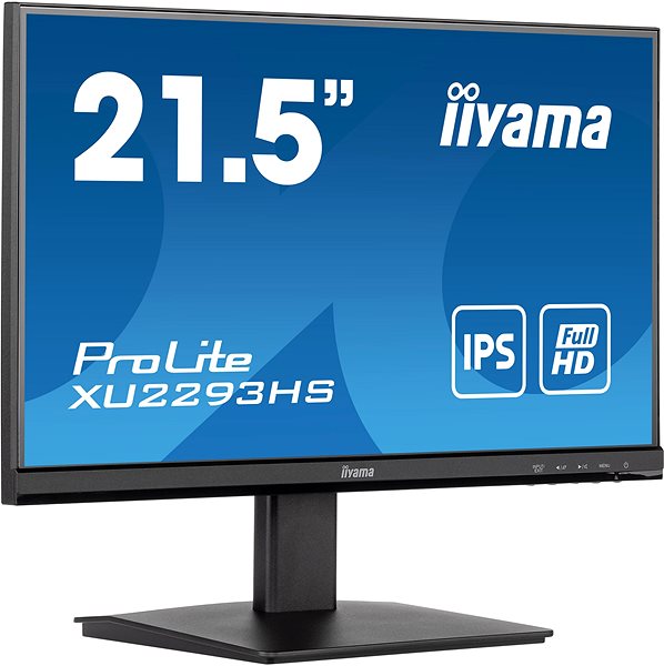 LCD monitor 22