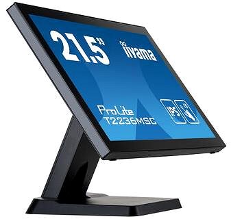 LCD monitor 22