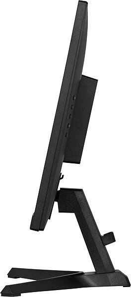 Monitor 24