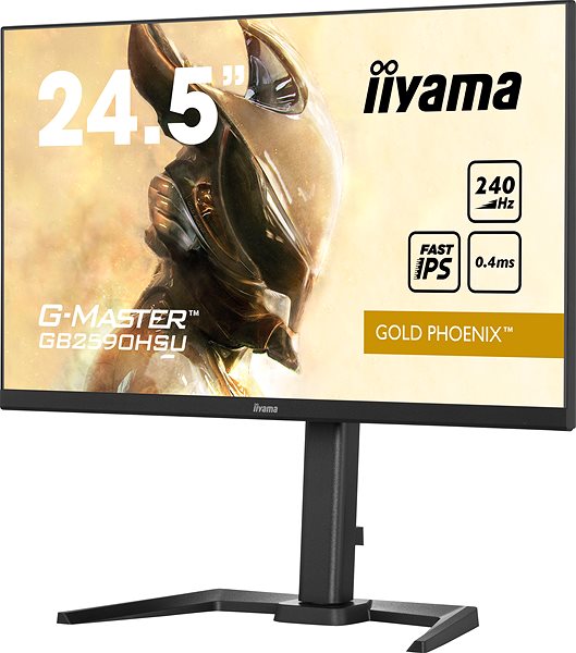 LCD monitor 25