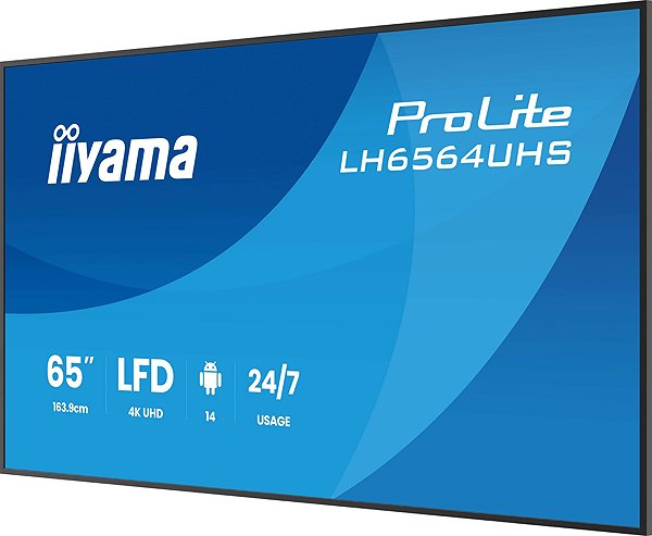 Large-Format Display 65
