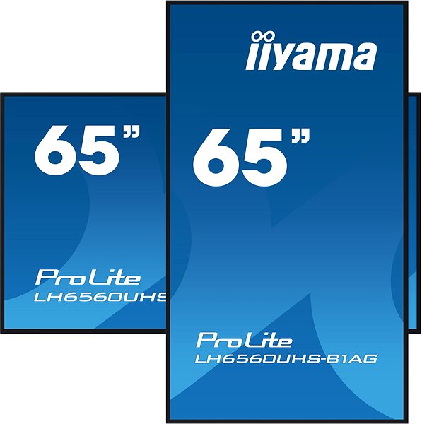 Large-Format Display 65