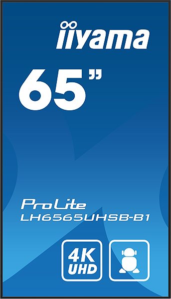 Large-Format Display 65