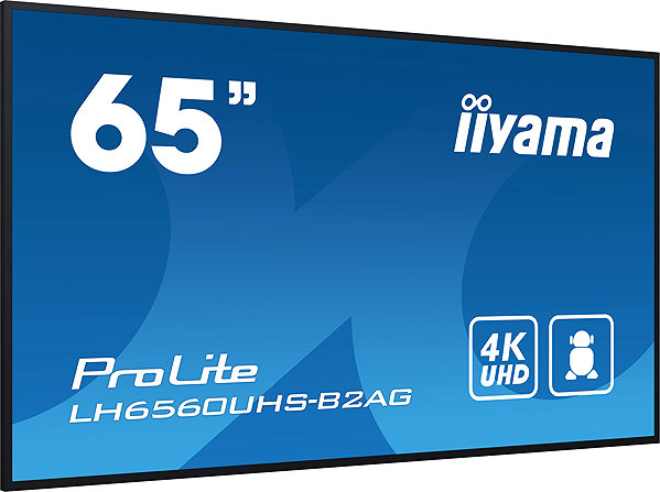 Large-Format Display 65