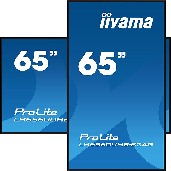 Large-Format Display 65