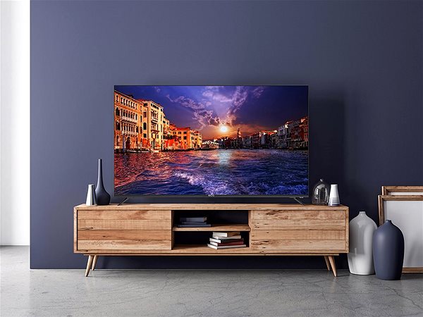 Television 43