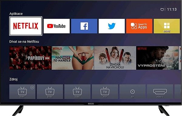Television 43