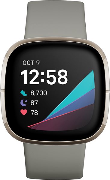 Smartwatch Fitbit Sense Salbeigrau / Silber Edelstahl Screen