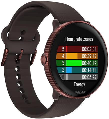 Smart Watch Polar Ignite 3 brown ...
