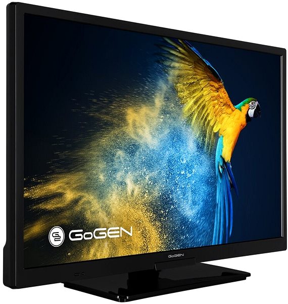 Television 24“ Gogen TVH 24M506 STWEB Lateral view