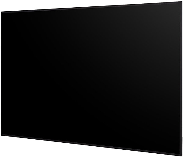 Large-Format Display 65