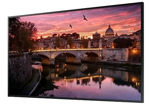 Large-Format Display 65
