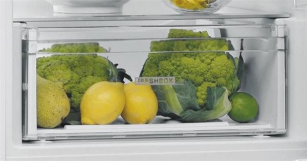 Refrigerator WHIRLPOOL W5 821EF IN 1 ...