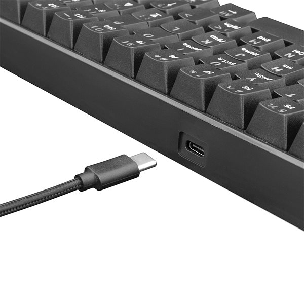 Gaming-Tastatur White Shark SHINOBI BLACK RED - US Anschlussmöglichkeiten (Ports)
