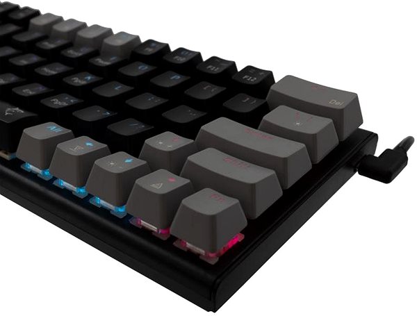 Gaming-Tastatur White Shark WAKIZASHI US schwarz-grau ...