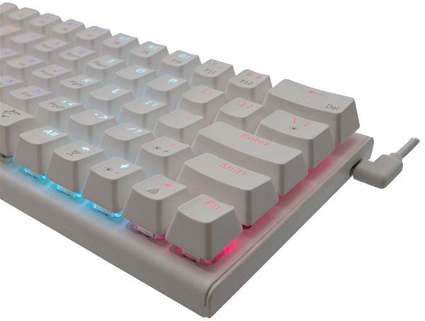 Gaming-Tastatur White Shark WAKIZASHI US weiß ...