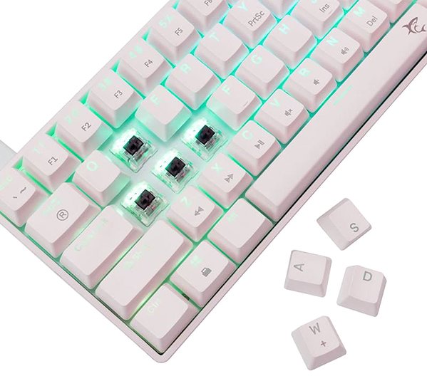 Gaming Keyboard White Shark SHINOBI 2, brown SW, white - US ...