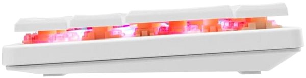 Gaming Keyboard White Shark NAGAMAKI, red SW, white - US ...