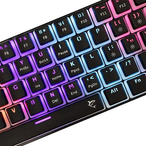 Gaming Keyboard White Shark ASHIKO 2 Black, red SW - US ...