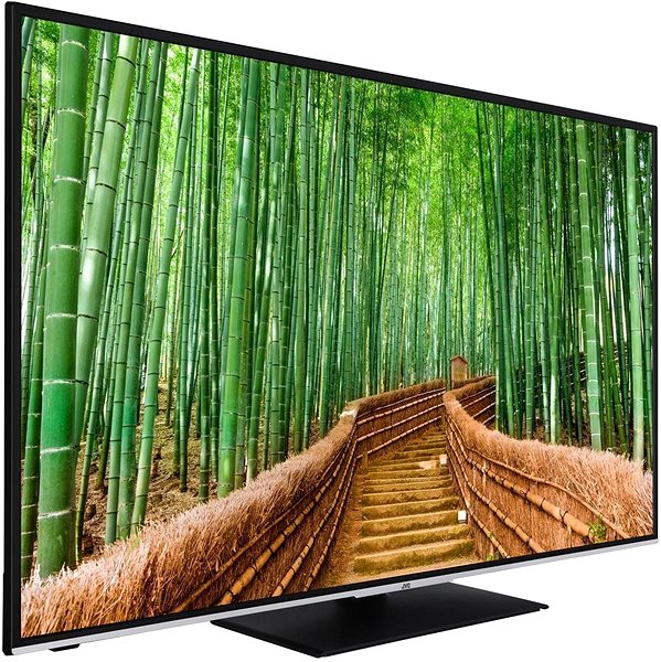 Television 55