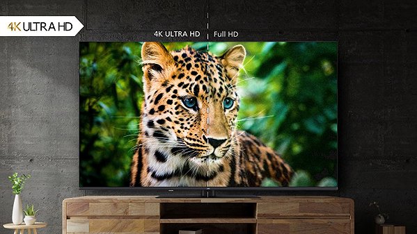Television 55