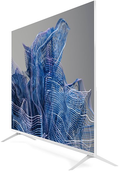 Television 55
