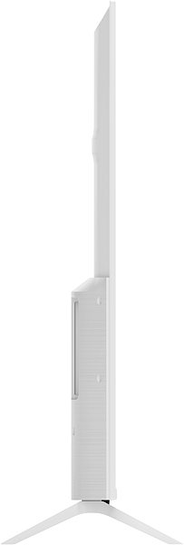 Television 55