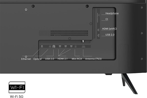 TV 65