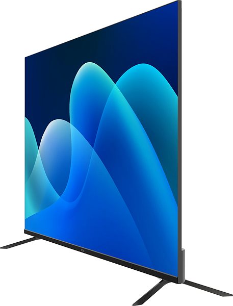 Television 55