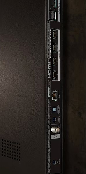 Television 55