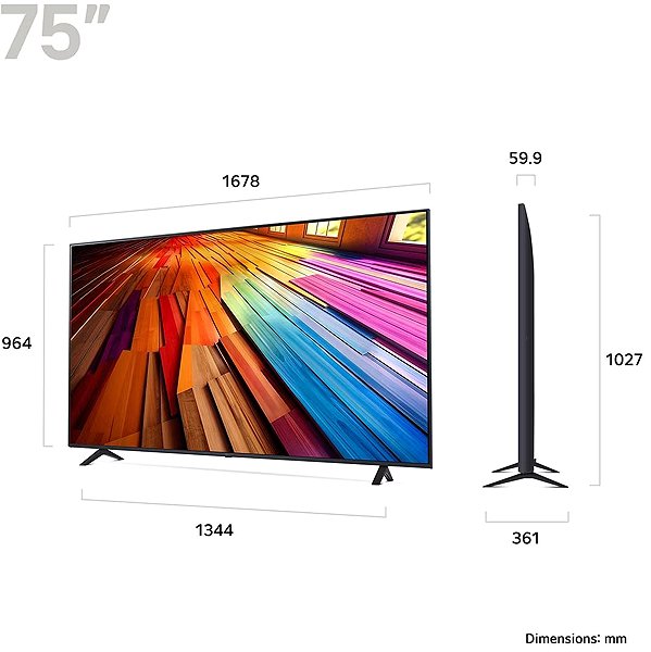 Television 65