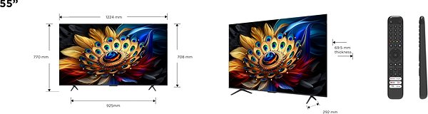 Television 55